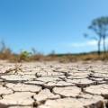 Été 2025 en Bretagne, une saison marquée par les incendies et la sécheresse